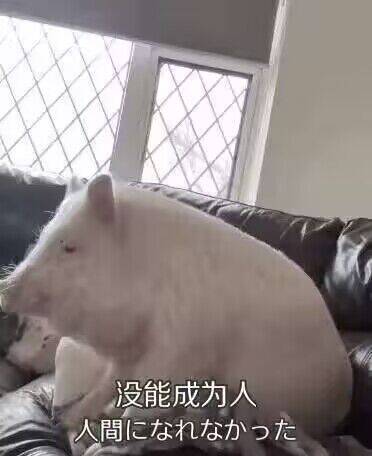 结构力学复习笔记