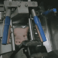 pig040.gif